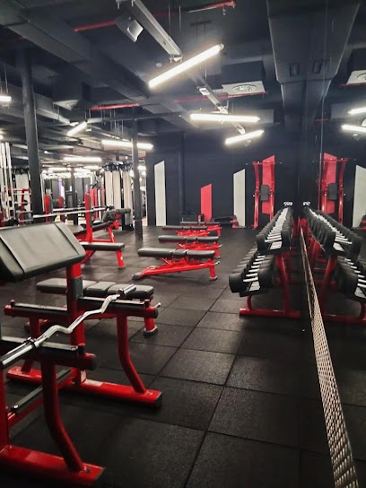 WhatsApp Image 2022 10 28 at 10.33.26 8