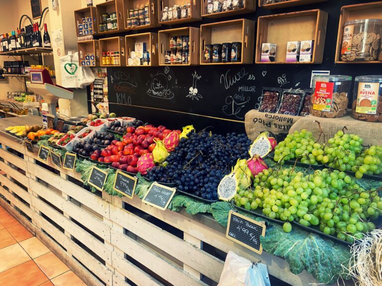 esnatural girona1 768x576