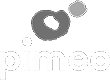 2LOGO_Pimec-110